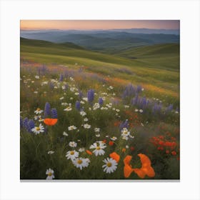 Wildflowers At Sunset 1 Canvas Print