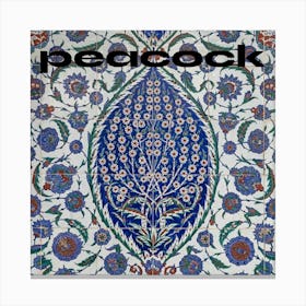 Peacock Canvas Print