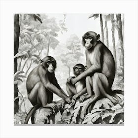 Monkeys In The Jungle Canvas Print