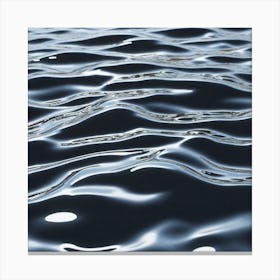 Water Ripples 15 Canvas Print