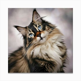 Majestic Maine Coon Canvas Print