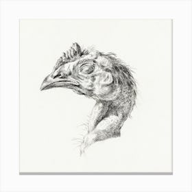 Head Of A Dead Chicken, Jean Bernard Canvas Print