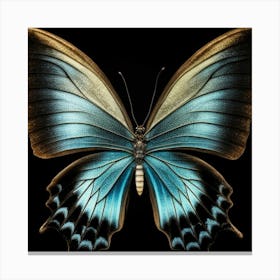 Blue Butterfly 1 Canvas Print