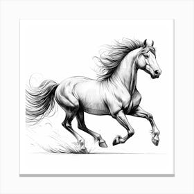 Horse Galloping Canvas Print