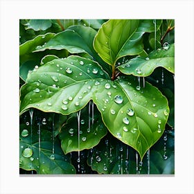 Raindrops On Leaves 5 Canvas Print