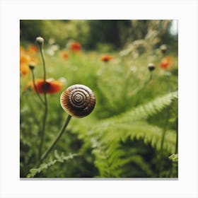 Snail In A Field 1 Canvas Print