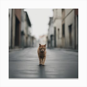 Cat Walking In The Street Canvas Print