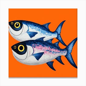 Two Tuna Fish On Orange Background Canvas Print