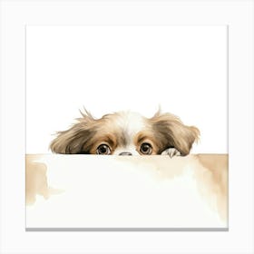 Tibetan Spaniel Dog Canvas Print