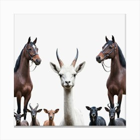 Group Of Horses, Transparent Png Download 1 Canvas Print