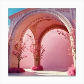 Pink Archway 8 Canvas Print