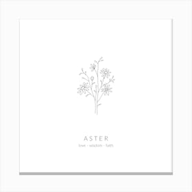 Aster Birth Flower Square Canvas Print