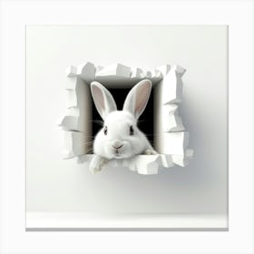 Rabbit Peeking Through A Hole 13 Canvas Print