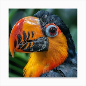 Toucan 27 Canvas Print