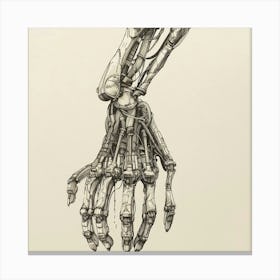 Hand Of A Skeleton Canvas Print