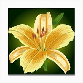 Yellow Lily Canvas Print
