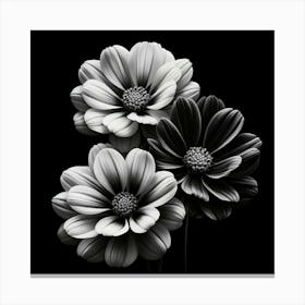 Black and white flowers Canvas Print