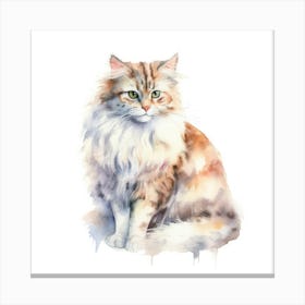 American Curl Cat Portrait 3 Canvas Print