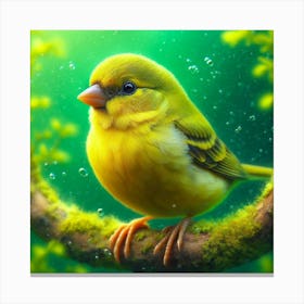 Canary 7 Canvas Print