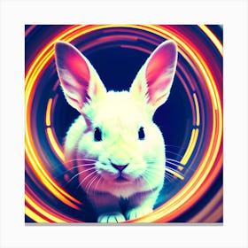 Follow the White Rabbit 1 Canvas Print