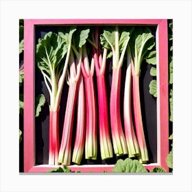 Rhubarb 52 Canvas Print