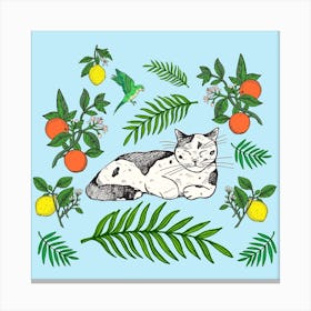 Cat Citrus Square Canvas Print