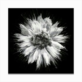 Firefly Striking Monochrome Contrast Of Hyper White And Super Black 6680 (2) Canvas Print