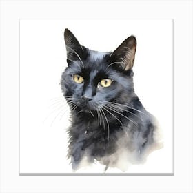 Russian Black Cat Portrait Canvas Print