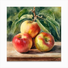 Apples on table Canvas Print