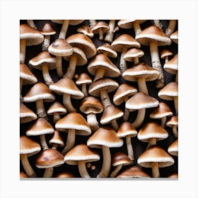 Many Mushrooms On A Black Background 2 Canvas Print