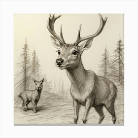 Deer And Fawn Canvas Print