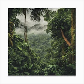 A Breathtaking View Of Tropical Forests And Jungle Canvas Print