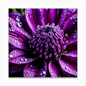Purple Dahlia Flower Canvas Print