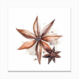 Anise Flower Canvas Print