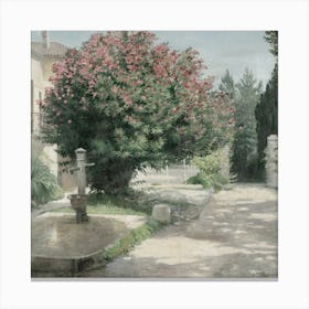 Garden 15 4 Canvas Print