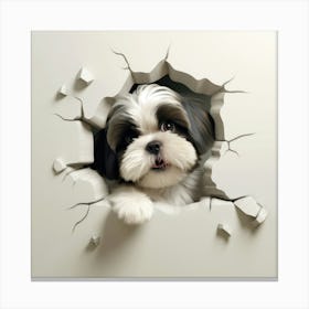 Shih Tzu 5 Canvas Print