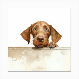 Wirehaired Vizsla Dog 2 Canvas Print