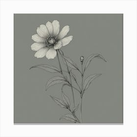 Flower Drawing Canvas Print