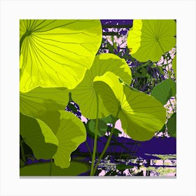 Sunlight Through Lotus Square Canvas Print