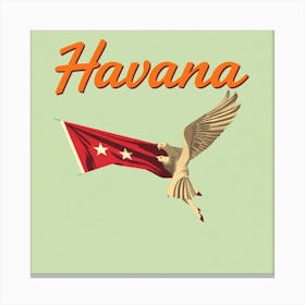 Havana 1 Canvas Print