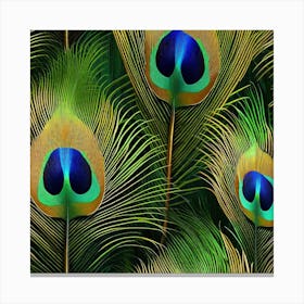 Peacock Feathers 5 Canvas Print