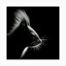 Black And White Portrait Of A Squirrel Canvas Print