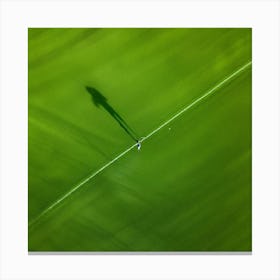 Lawn Green Grass Line Drone Person Surface Field Descending Adult Day Greenery Sharpened (1) Canvas Print