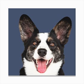 Corgi Portrait Canvas Print