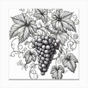 Line Art grapes and vines Canvas Print