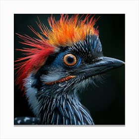 Pygmy Woodpecker Canvas Print