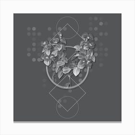 Vintage Platilobium Botanical with Line Motif and Dot Pattern in Ghost Gray Canvas Print
