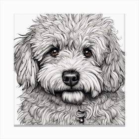 Poodle 1 Canvas Print