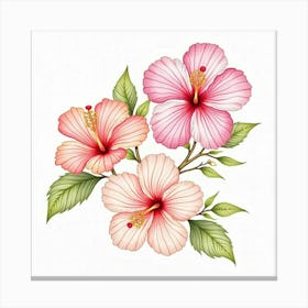 A Watercolor Arrangement Of Tropical Hibiscus Flowers Canvas Print