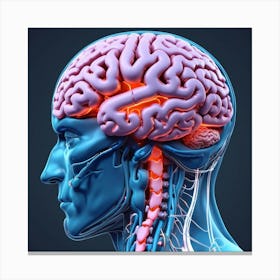 3d Render Of A Medical Image Of A Male Figure With Brain Highlighted 2 Canvas Print